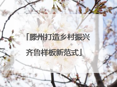 滕州打造乡村振兴齐鲁样板新范式