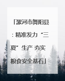 漯河市舞阳县：精准发力“三夏”生产 夯实粮食安全基石