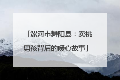 漯河市舞阳县：卖桃男孩背后的暖心故事