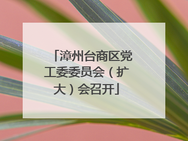 漳州台商区党工委委员会（扩大）会召开