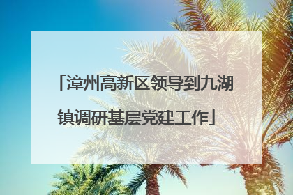 漳州高新区领导到九湖镇调研基层党建工作