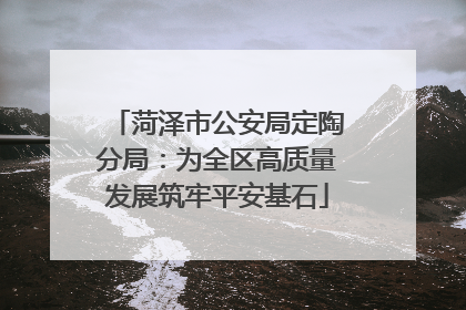 菏泽市公安局定陶分局：为全区高质量发展筑牢平安基石