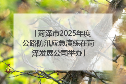 菏泽市2025年度公路防汛应急演练在菏泽发展公司举办