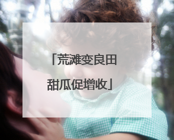荒滩变良田 甜瓜促增收