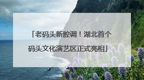 老码头新腔调！湖北首个码头文化演艺区正式亮相