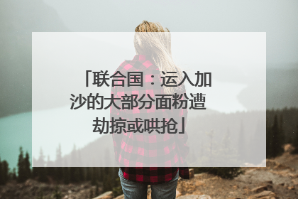 联合国：运入加沙的大部分面粉遭劫掠或哄抢