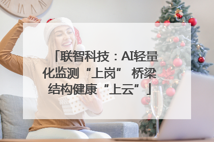 联智科技：AI轻量化监测“上岗” 桥梁结构健康“上云”