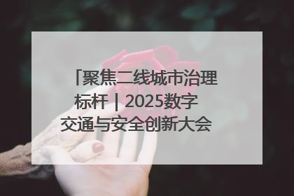 聚焦二线城市治理标杆｜2025数字交通与安全创新大会在保定隆重开幕