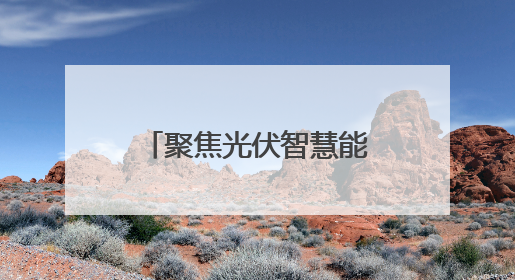 聚焦光伏智慧能源 2025上海光伏展举行