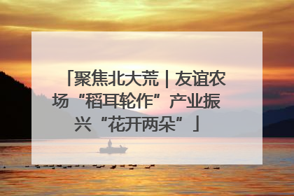 聚焦北大荒｜友谊农场“稻耳轮作”产业振兴“花开两朵”