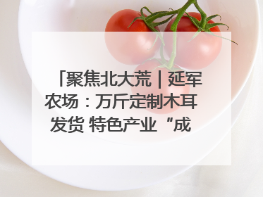 聚焦北大荒｜延军农场：万斤定制木耳发货 特色产业“成绩单”亮眼