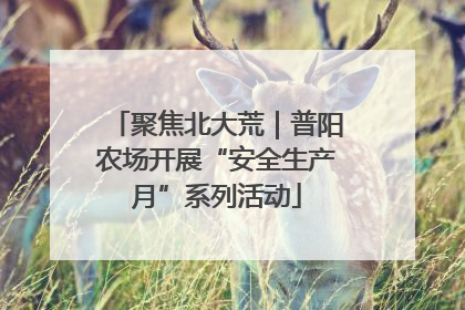 聚焦北大荒｜普阳农场开展“安全生产月”系列活动