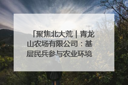 聚焦北大荒｜青龙山农场有限公司：基层民兵参与农业环境综合治理显效