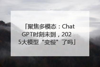 聚焦多模态：ChatGPT时刻未到，2025大模型“变慢”了吗