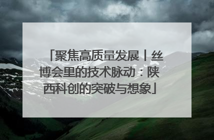 聚焦高质量发展丨丝博会里的技术脉动：陕西科创的突破与想象