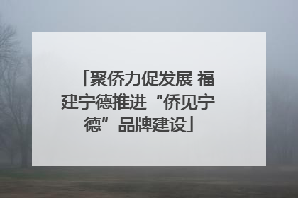 聚侨力促发展 福建宁德推进“侨见宁德”品牌建设