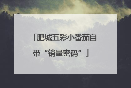 肥城五彩小番茄自带“销量密码”