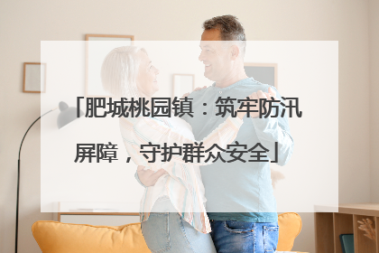 肥城桃园镇：筑牢防汛屏障，守护群众安全