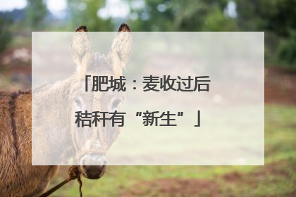 肥城：麦收过后秸秆有“新生”