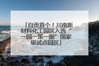 自贡首个！川南新材料化工园区入选“一园一策一图”国家级试点园区