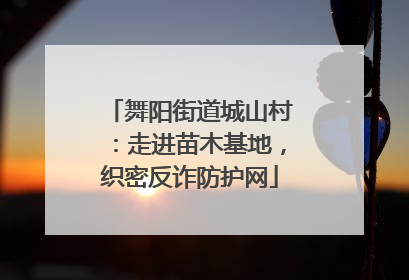 舞阳街道城山村：走进苗木基地，织密反诈防护网
