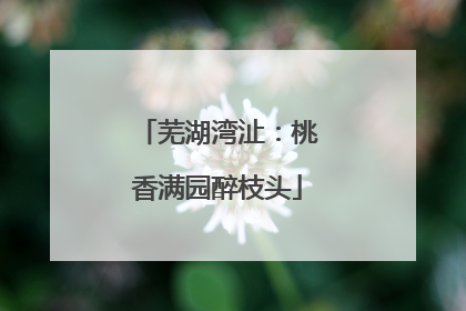 芜湖湾沚：桃香满园醉枝头