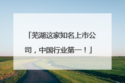 芜湖这家知名上市公司，中国行业第一！