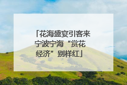 花海盛宴引客来 宁波宁海“赏花经济”别样红