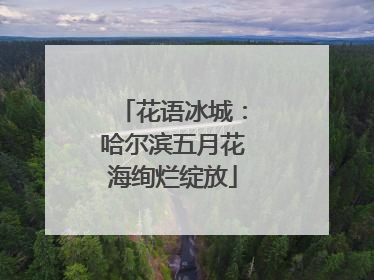 花语冰城：哈尔滨五月花海绚烂绽放
