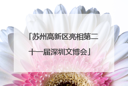 苏州高新区亮相第二十一届深圳文博会