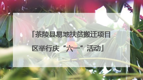 茶陵县易地扶贫搬迁项目区举行庆“六一”活动