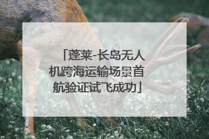 蓬莱-长岛无人机跨海运输场景首航验证试飞成功