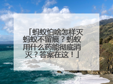 蚂蚁怕啥怎样灭蚂蚁不留痕？蚂蚁用什么药能彻底消灭？答案在这！