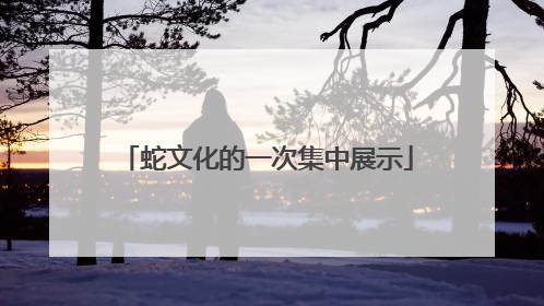 蛇文化的一次集中展示