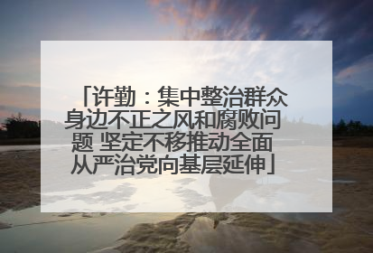 许勤：集中整治群众身边不正之风和腐败问题 坚定不移推动全面从严治党向基层延伸