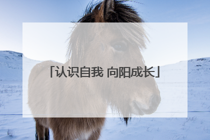 认识自我 向阳成长