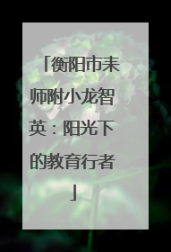 衡阳市耒师附小龙智英：阳光下的教育行者