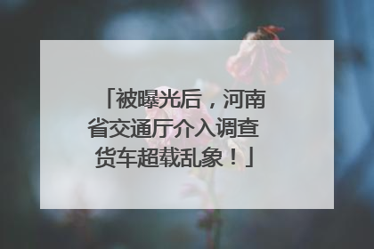 被曝光后，河南省交通厅介入调查货车超载乱象！