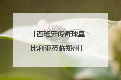 西班牙传奇球星 比利亚莅临郑州