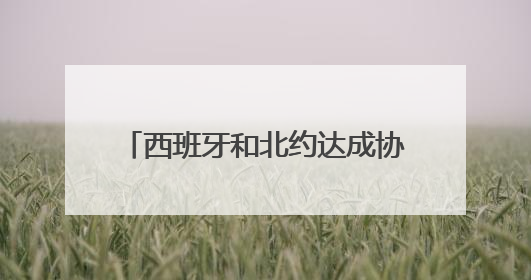 西班牙和北约达成协议 无须提高军费开支至国内生产总值5%