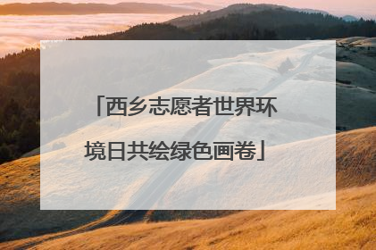 西乡志愿者世界环境日共绘绿色画卷