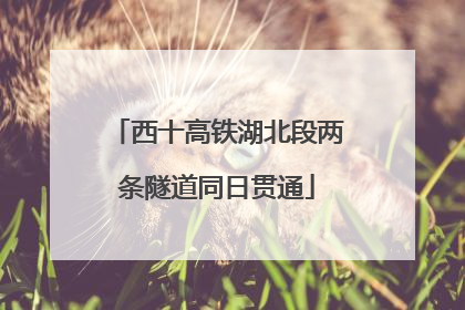 西十高铁湖北段两条隧道同日贯通