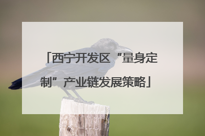 西宁开发区“量身定制”产业链发展策略