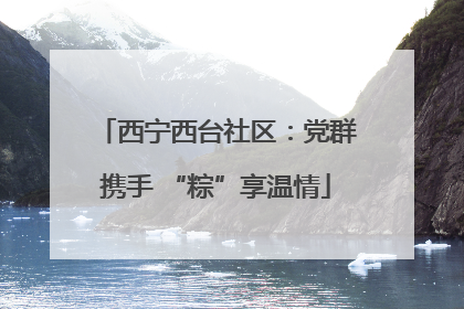 西宁西台社区：党群携手 “粽”享温情