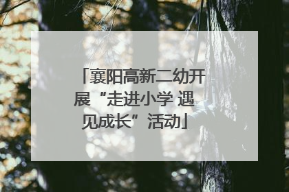 襄阳高新二幼开展“走进小学 遇见成长”活动