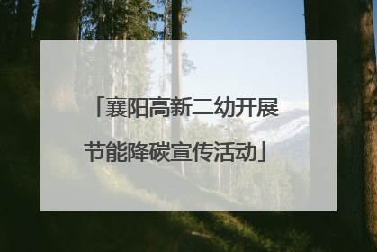 襄阳高新二幼开展节能降碳宣传活动