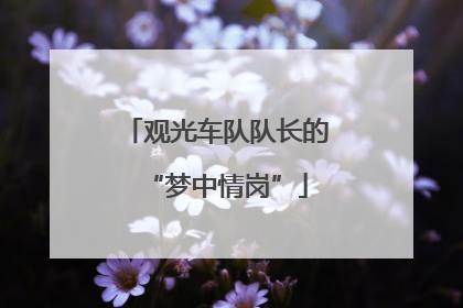 观光车队队长的“梦中情岗”