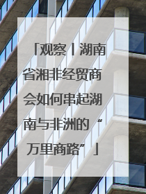 观察丨湖南省湘非经贸商会如何串起湖南与非洲的“万里商路”