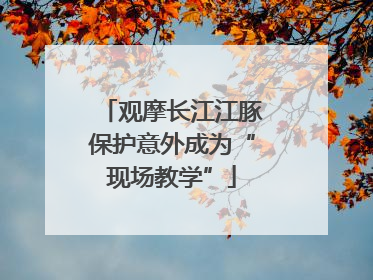 观摩长江江豚保护意外成为“现场教学”