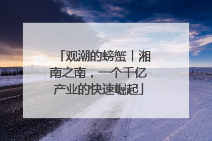 观潮的螃蟹丨湘南之南，一个千亿产业的快速崛起